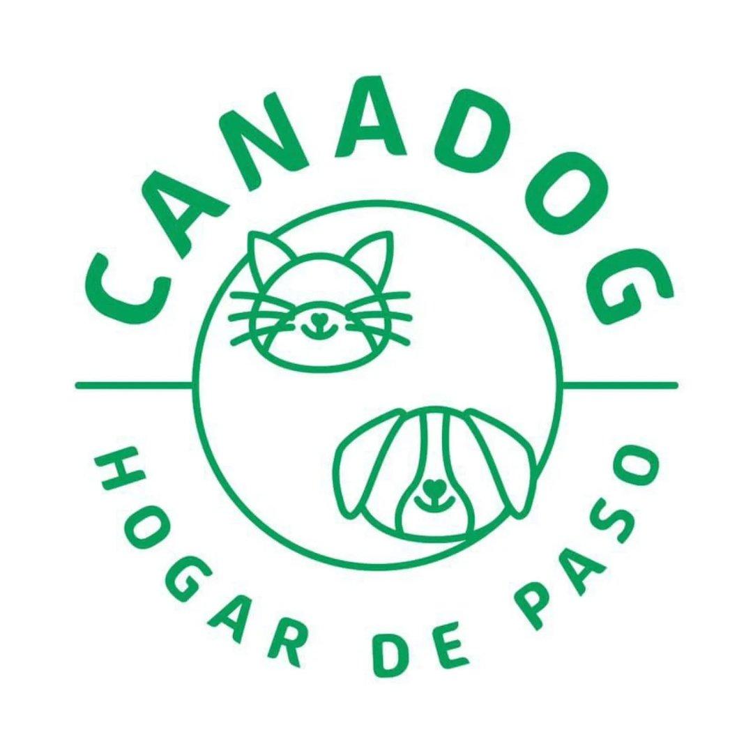 Proyecto